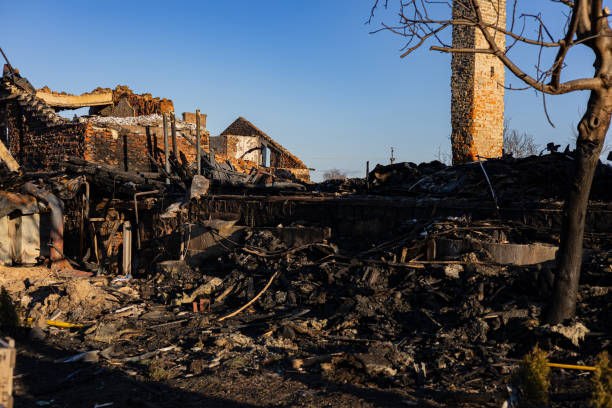 Reliable Content Restoration contractor in Bellevue, WA by Fire Damage Doption